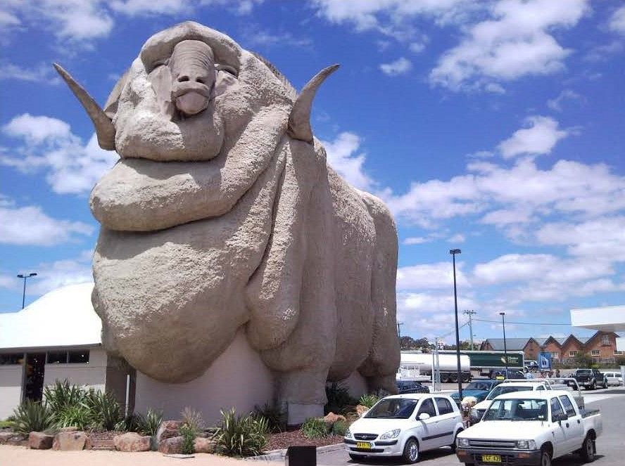 The Big Merino